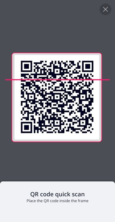 Scansione rapida- eng.png